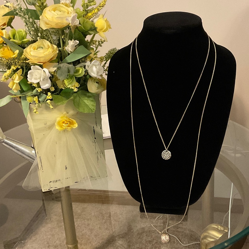 The Limited Silver Double Pendant Necklace